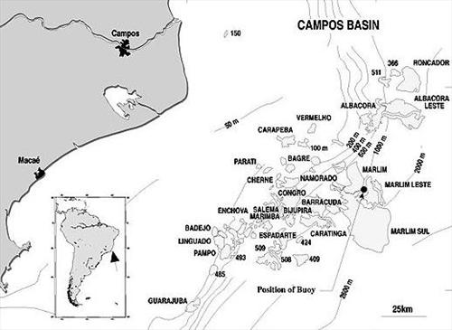 Brazil: Petrobras Strikes Oil In Campos Basin Well