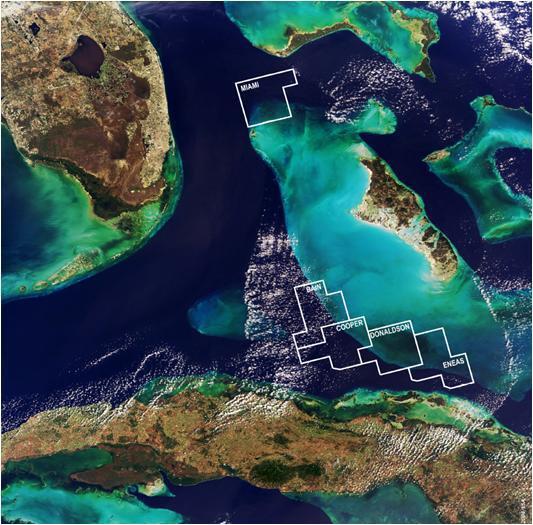 Bahamas Petroleum announces preliminary seismic evaluation results
