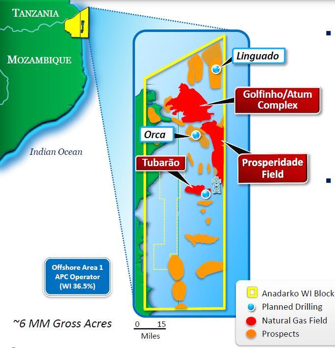 Mozambique India's ONGC and Oil India to buy 10 pct in Mozambique gas