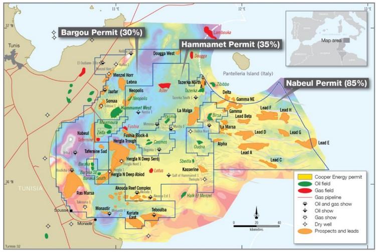 Tunisia Cooper Energy posts 58m loss on Tunisian oil writedown