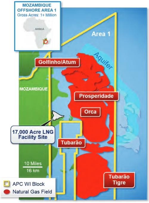 Mozambique Anadarko achieves new Mozambique LNG milestones