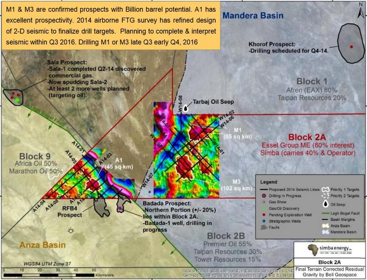 Kenya Essel Group Middle East and Simba Energy acquiring 2D seismic in