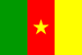 Cameroon flag