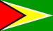 Guyana flag