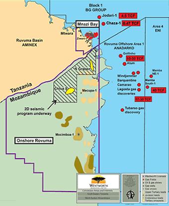 Tanzania: Wentworth Resources makes progress on Mnazi Bay to Dar es ...