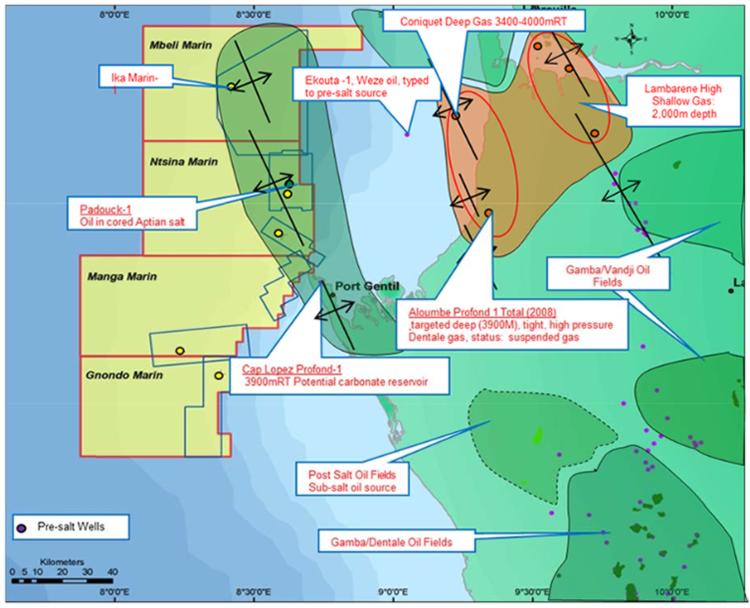 Gabon: Ophir farms out Gabonese exploration blocks to OMV