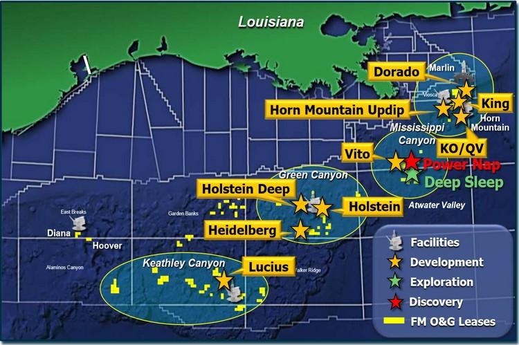 GoM: Freeport-McMoRan announces oil discovery at its Horn Mountain Deep ...