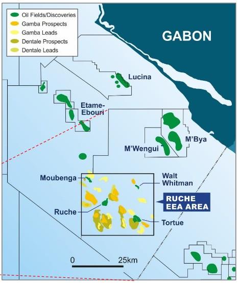 Gabon: BW Offshore announces successful completion of appraisal well on ...