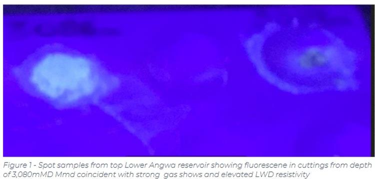 Photo - see caption